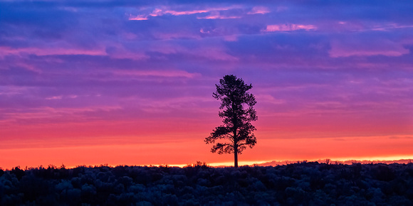 Eastern Oregon Sunrise2